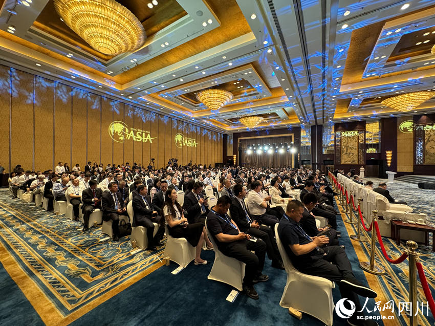 大會現場。人民網 王凡攝