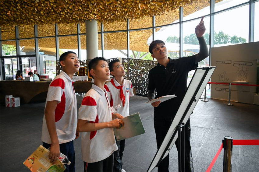 學生在2024成都世園會主會場參觀?；顒又鬓k方供圖