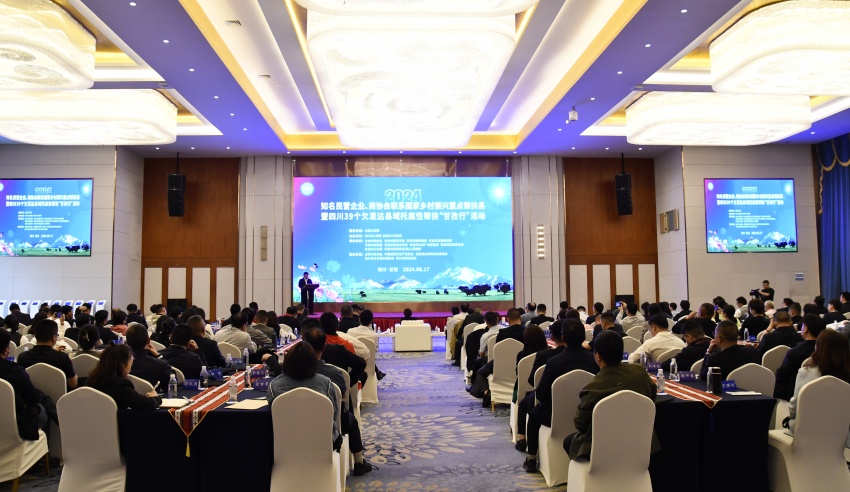 活動現場。四川省工商聯供圖