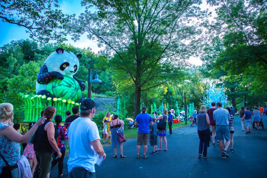 2023美國洛杉磯燈展——熊貓抱竹燈組。自貢市委宣傳部供圖