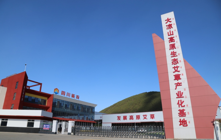 四川能投大涼山高原艾草生態產業園區。四川能投供圖