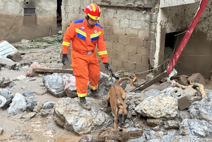 7月20日，雅安支隊和平路特勤站搜救犬分隊深入馬烈鄉五組執行搜救任務。四川消防供圖