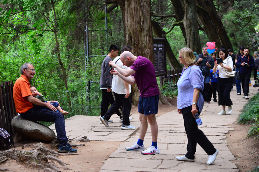 外國游客打卡翠云廊。劉懷英攝