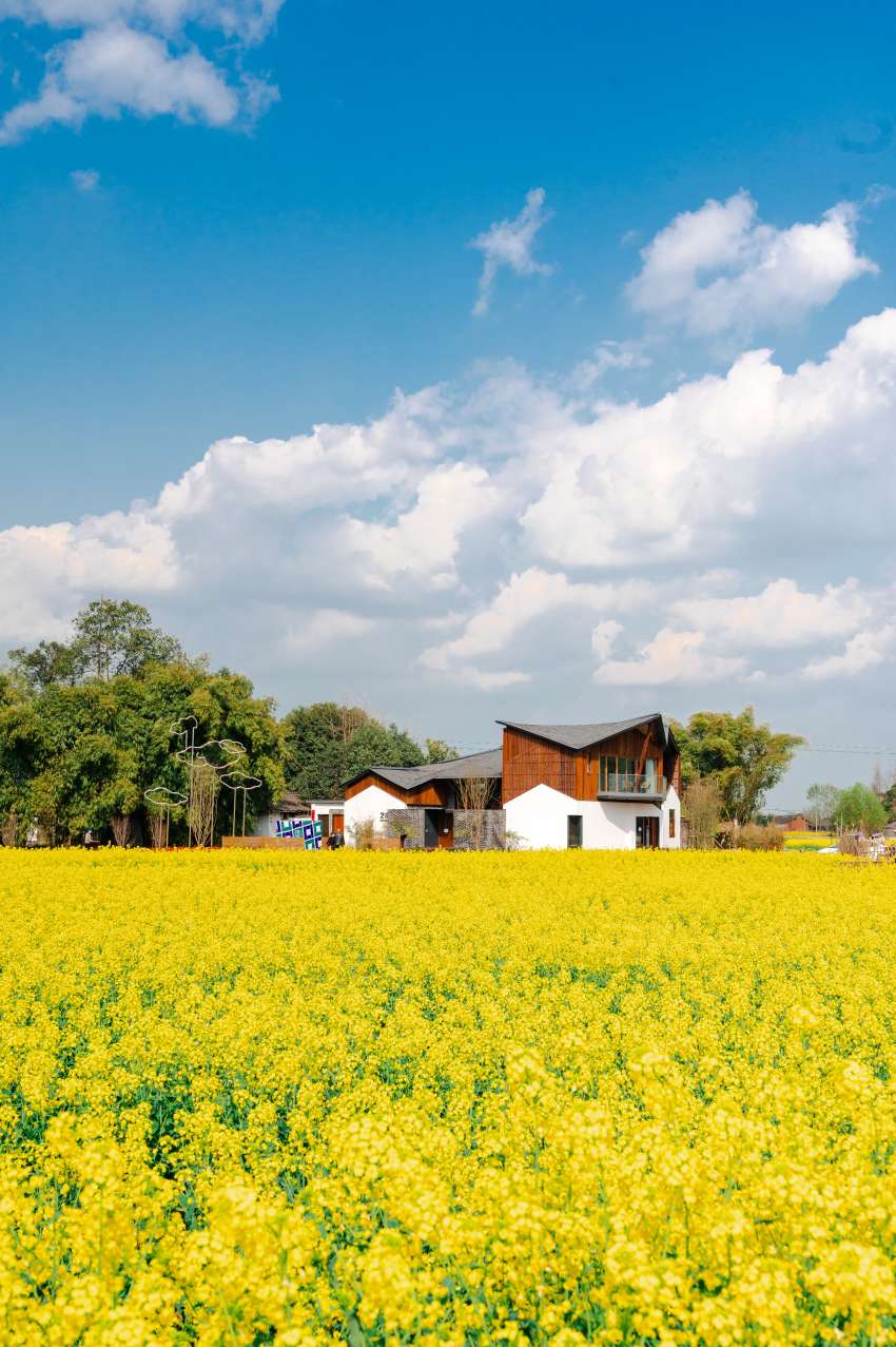 南岸美村。大邑縣農業農村局、大邑縣融媒體中心供圖