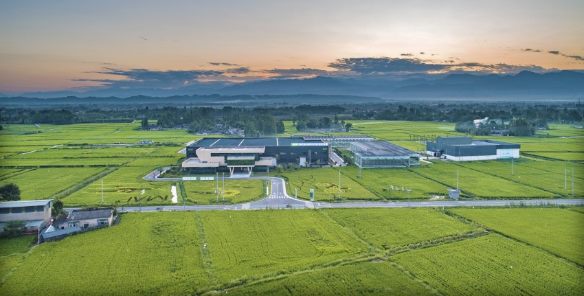 中化農村社會化服務西南中心。崇州市委宣傳部供圖