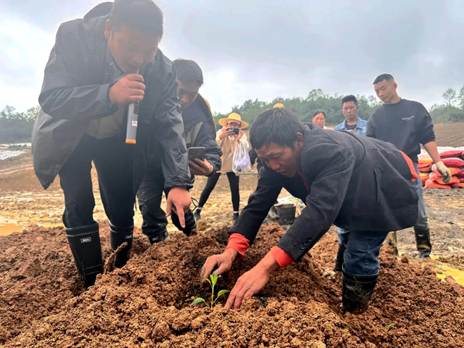 培訓員分享人參果“種植秘籍”。黑乃木乃攝