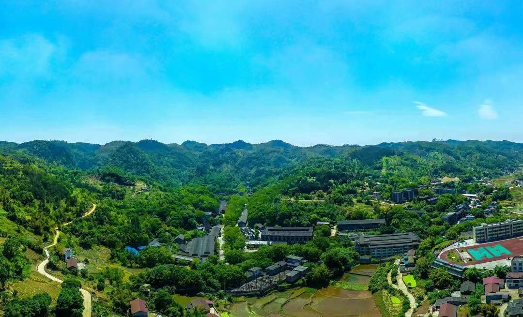 金喜來酒莊。金喜來酒業供圖