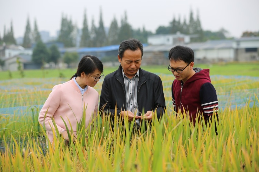 馬均教授（中）為學生講解。受訪者供圖