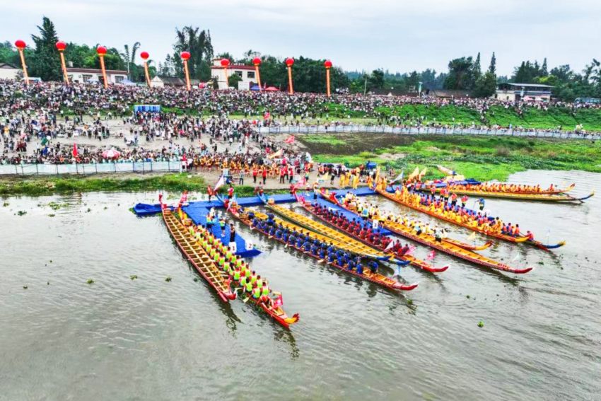 龍舟賽現場。譚雁云供圖