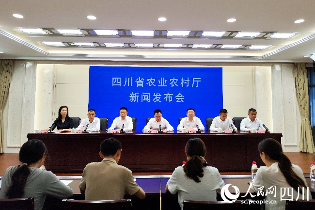 新聞發布會現場。人民網記者 朱虹攝