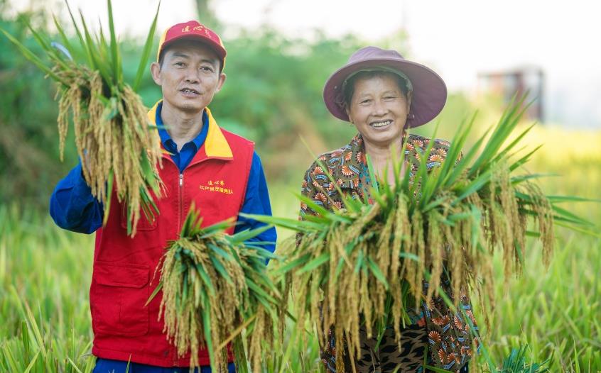 四川：電力賦能鄉村振興推進鄉村振興，不僅要解決“用上電”的問題，更要對接“用好電”的需求，“村網共建”正在助力鄉村振興邁向快車道。