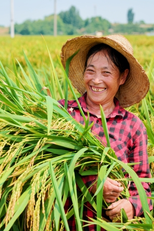 《稻影鎏金》德陽市羅江區略坪鎮村民手捧水稻滿臉笑容。