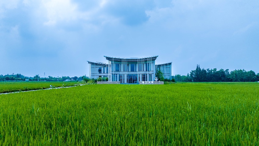 文化與自然交融的美麗驛站——麥田書局。新都區融媒體中心供圖