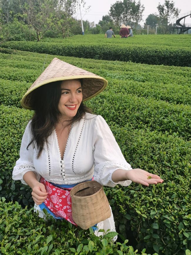 外國記者體驗采茶過程。人民網記者 劉海天攝