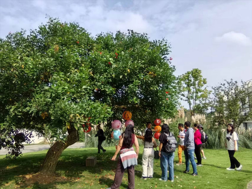 外國記者打卡明月村。人民網記者 劉海天攝