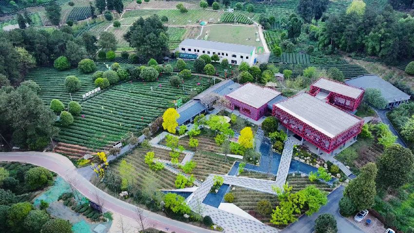 成都蒲江縣打造“國際田園生態商務區”。蒲江縣委宣傳部供圖