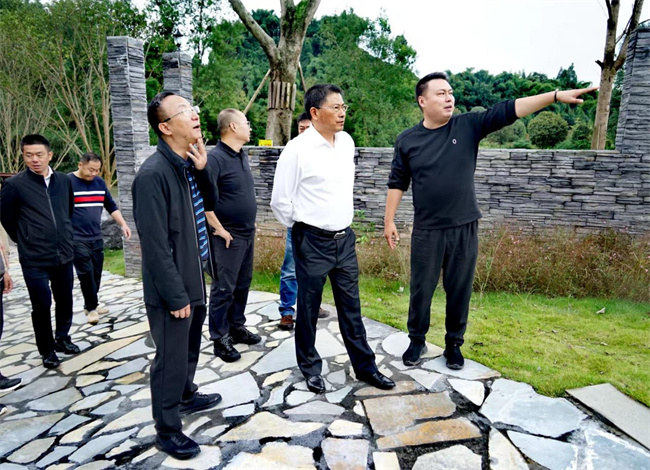 調研組開展助力“蓉城星力·同心桑梓”招商引資考察。民建成都市委會供圖