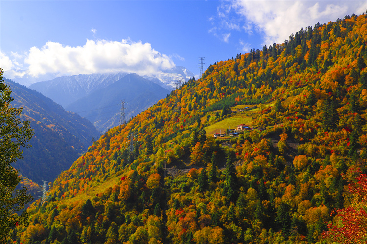 遠眺三奧雪山。黑水縣委宣傳部供圖