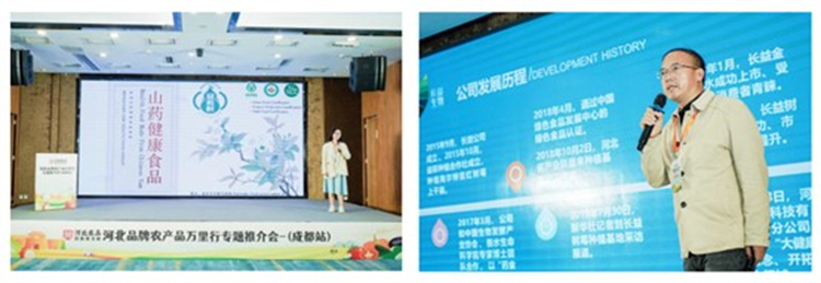 企業推介。主辦方供圖