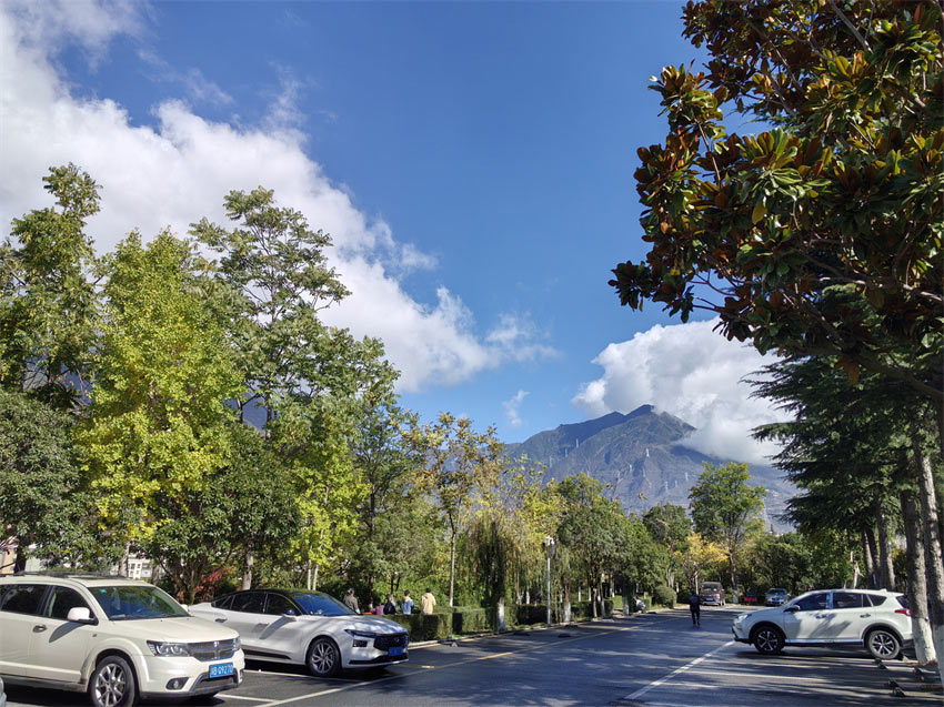 停車場都是觀光打卡景點。人民網記者 劉海天攝