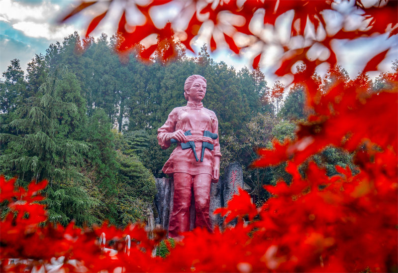 2024年11月10日，位于廣安市華鎣山的“雙槍老太婆”塑像，在紅葉和綠蔭陪襯下顯得格外壯美。邱海鷹、劉南賢攝