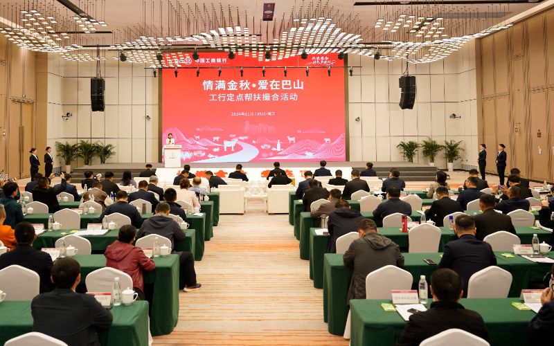 活動現場。主辦方供圖