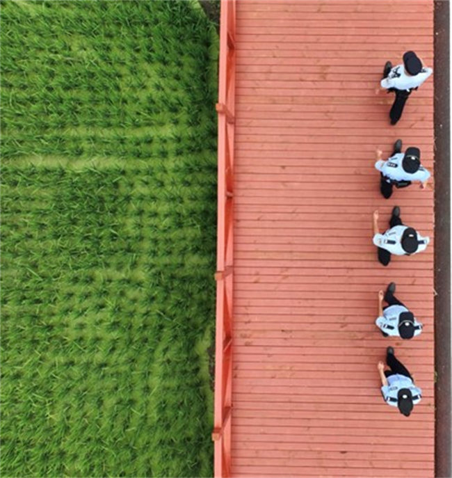 “生態警務”繪就綠水青山“平安色”。涼山州公安局供圖