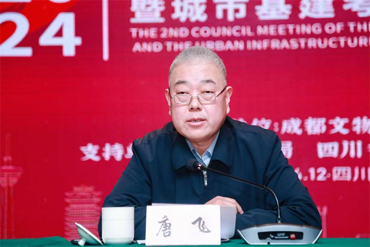 唐飛致辭。主辦方供圖