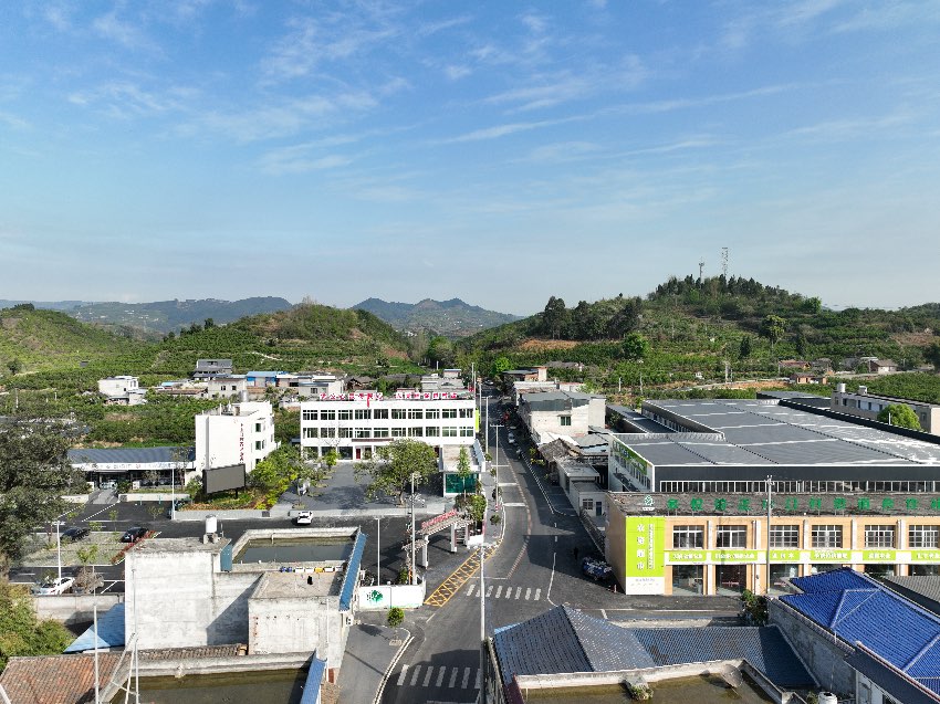 航拍正山口村。受訪者供圖