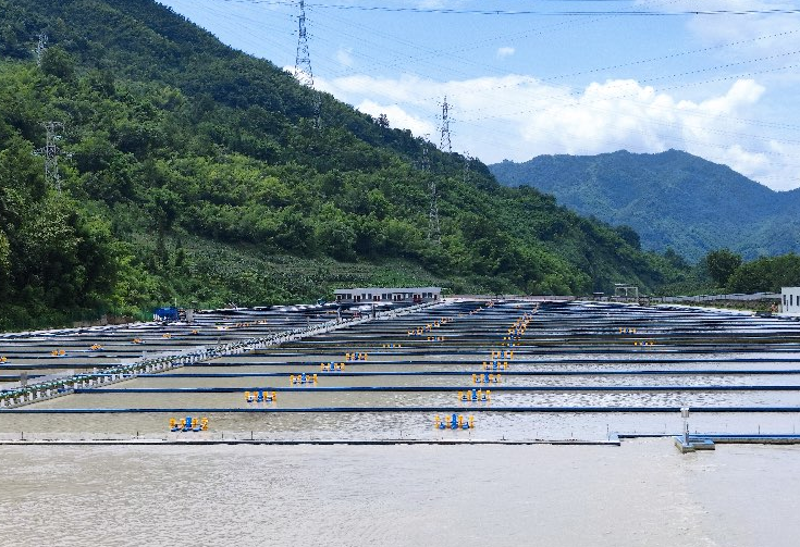 山區小縣“鱘”金路