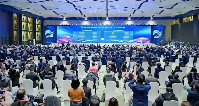 世界顯示產業創新發展大會在成都舉行。主辦方供圖 