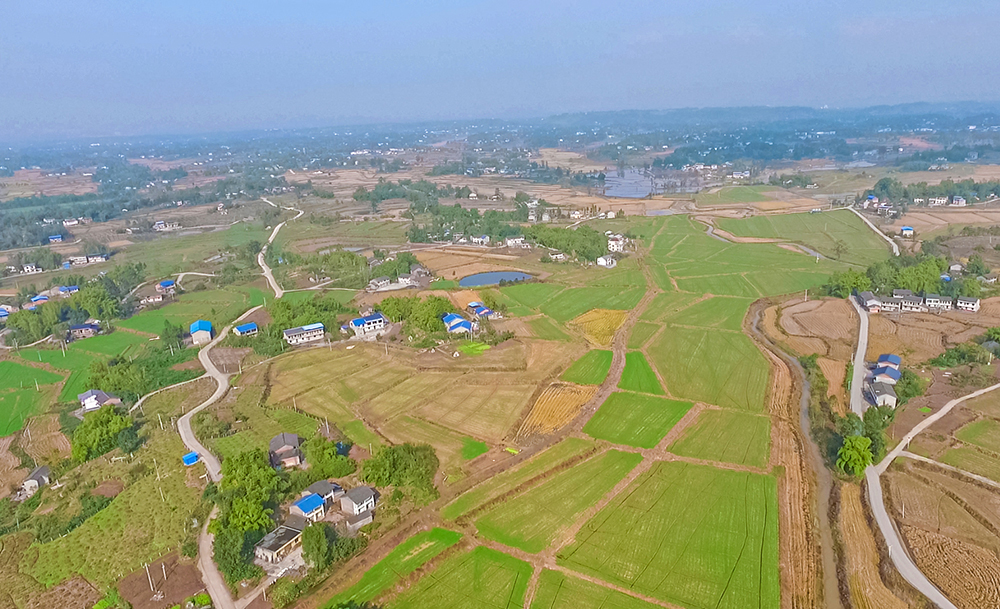 微信截圖_20241218092209