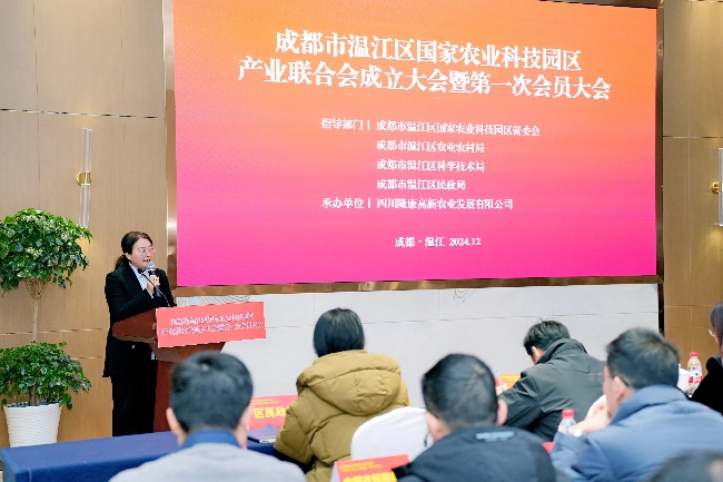 大會現場。主辦方供圖