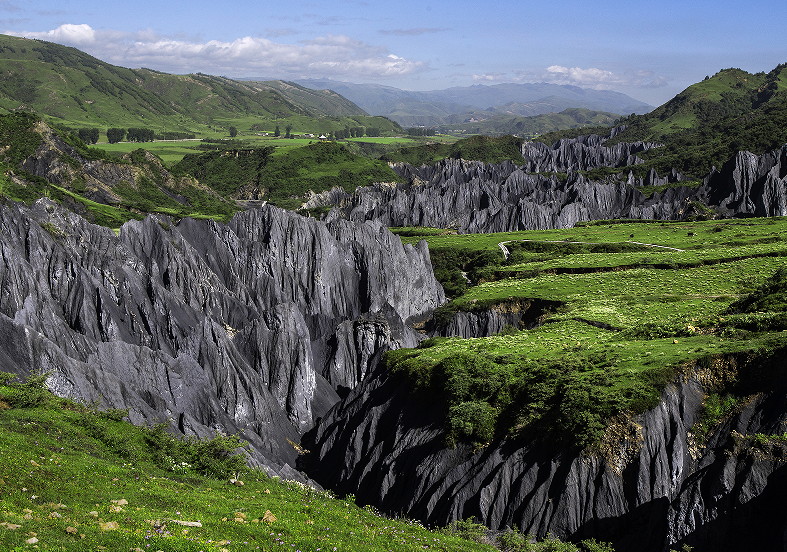 道孚墨石公園夏景