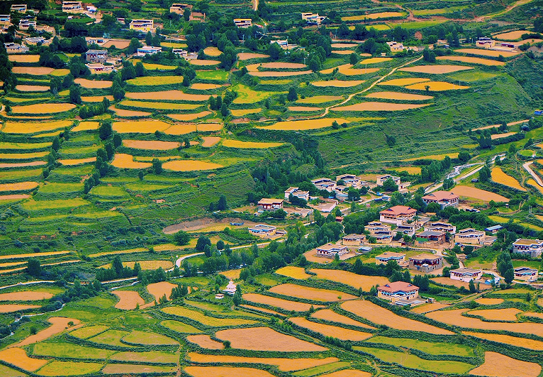 道孚秋日田園風光