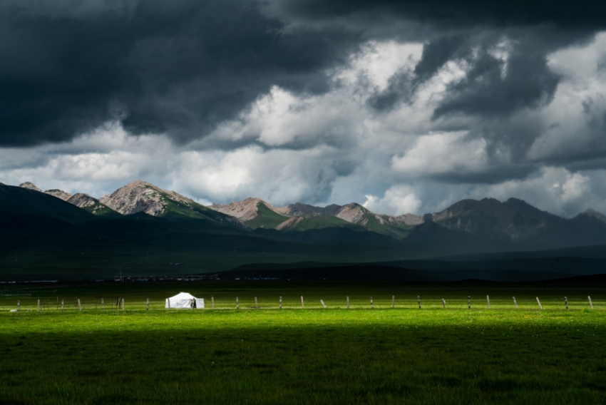 萬畝優質牧草基地。省國投公司供圖