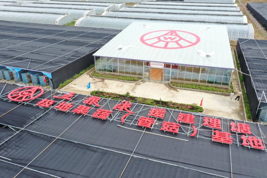 五糧液援建理塘極地果蔬（香菇）基地。張聞攝