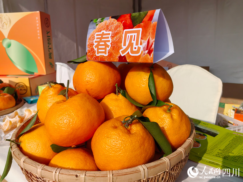 展會上展示的耙耙柑。人民網記者 劉海天攝