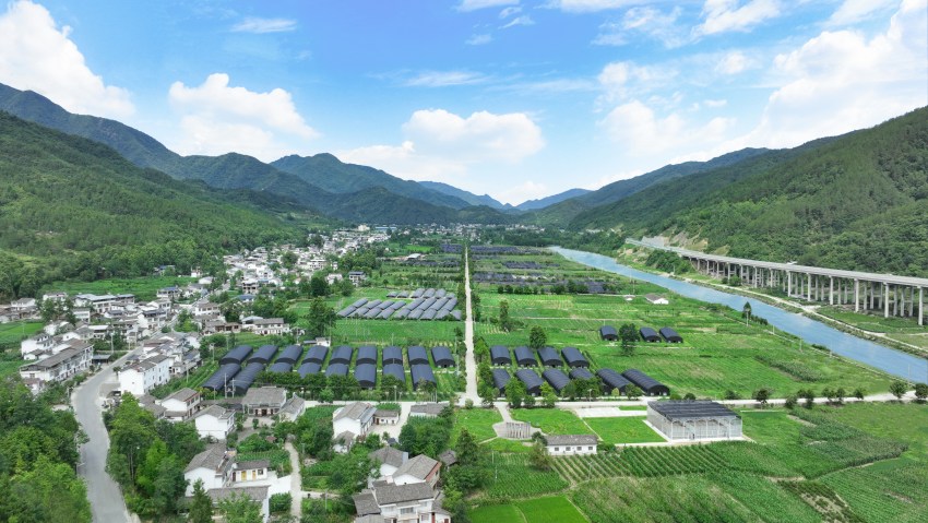 四川港投在青川縣打造的食用菌產業幫扶示范基地。四川省國資委供圖