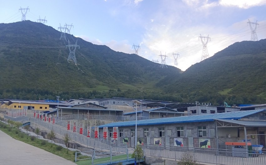 國家能源四川公司打造的布拖黑綿羊現代農業園區養殖廠房。四川省國資委供圖