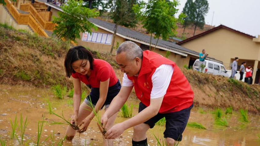 鄧小燕（左）參加插秧。受訪者供圖
