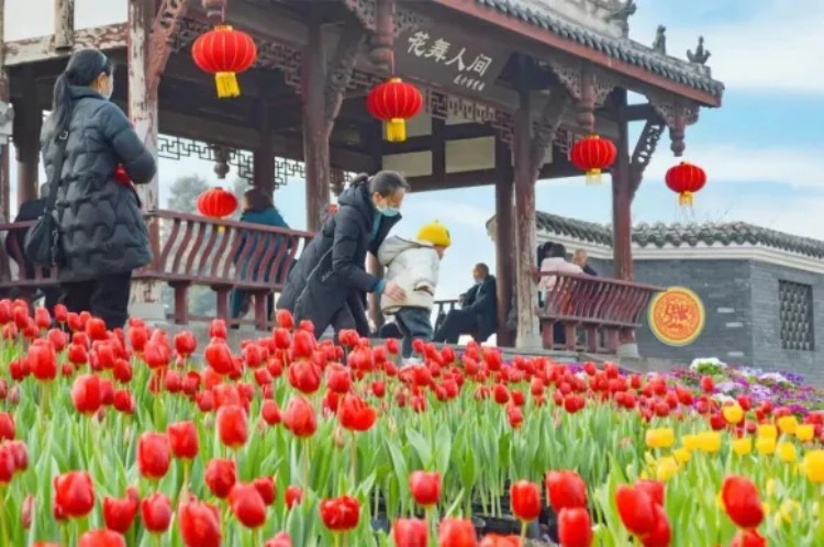 花舞人間。成都市文廣旅局供圖