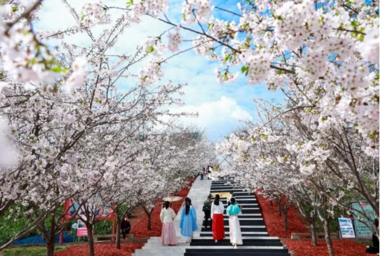 錦門景區。成都市文廣旅局供圖