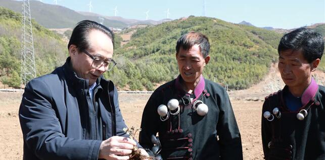 全國人大代表耿福能：心系基層百姓 創新發展中醫藥