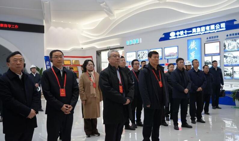 在川全國人大代表開展集中視察