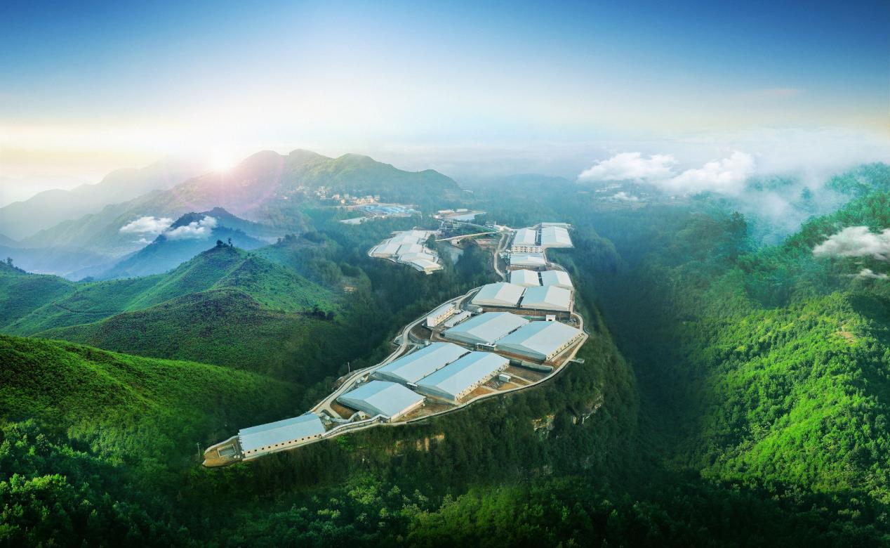 巴中南江縣紅光生豬繁殖基地