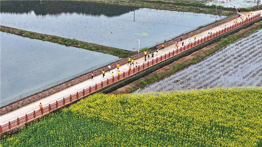 風光一路送到家。中江縣委宣傳部供圖