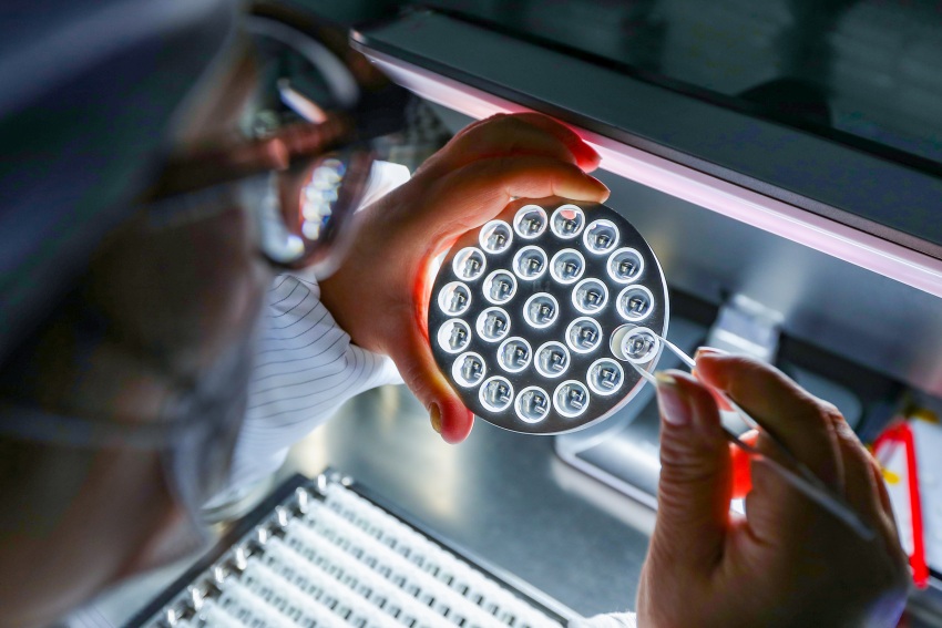 四川坦駿光學儀器有限公司生產車間內，工人們正在生產光學鏡片元件。牟科攝