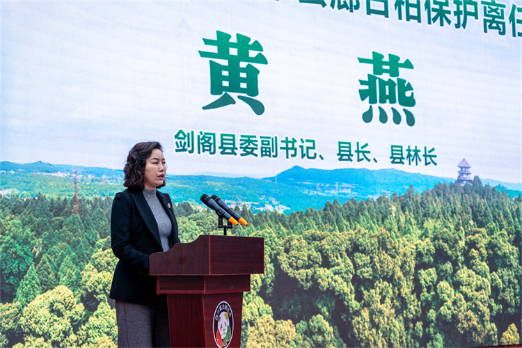 劍閣縣委副書記、縣長、縣林長黃燕講話。劍閣縣委宣傳部供圖
