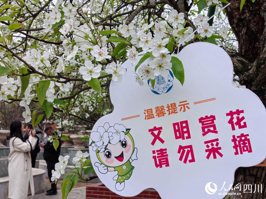 文明賞花花更美。人民網記者 劉海天攝